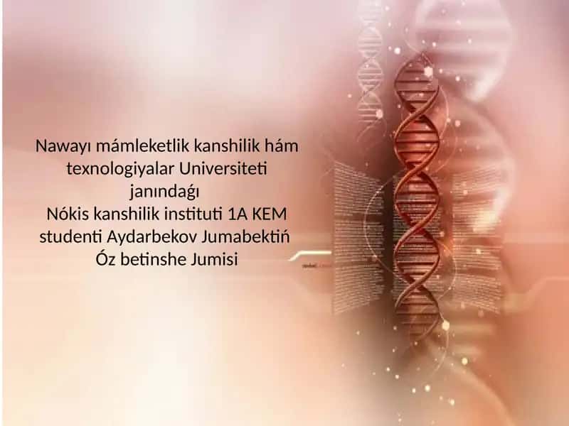 Nawayımámleketlikkanshilikhám 1
