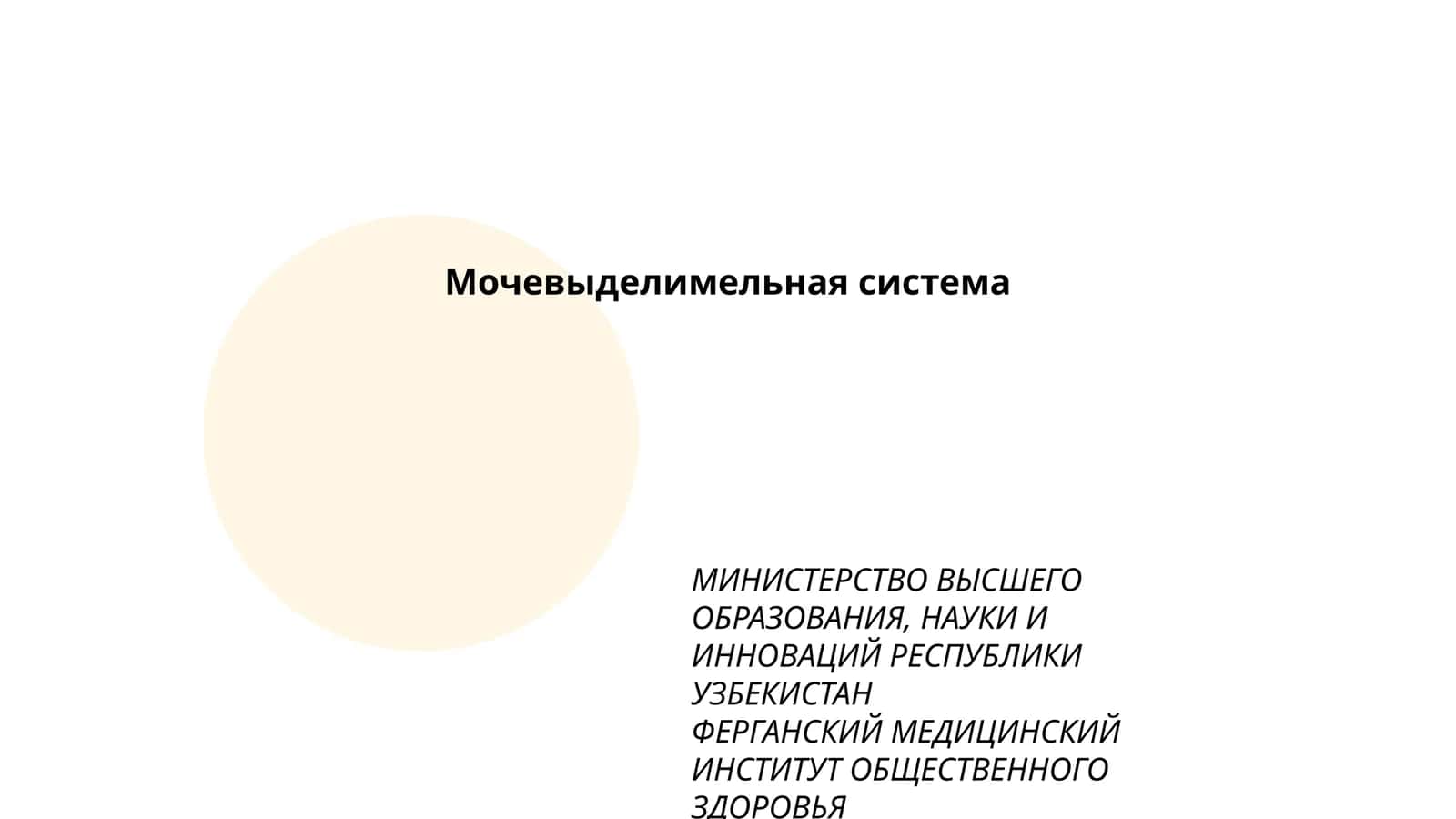 Мочевыделимельная система 1