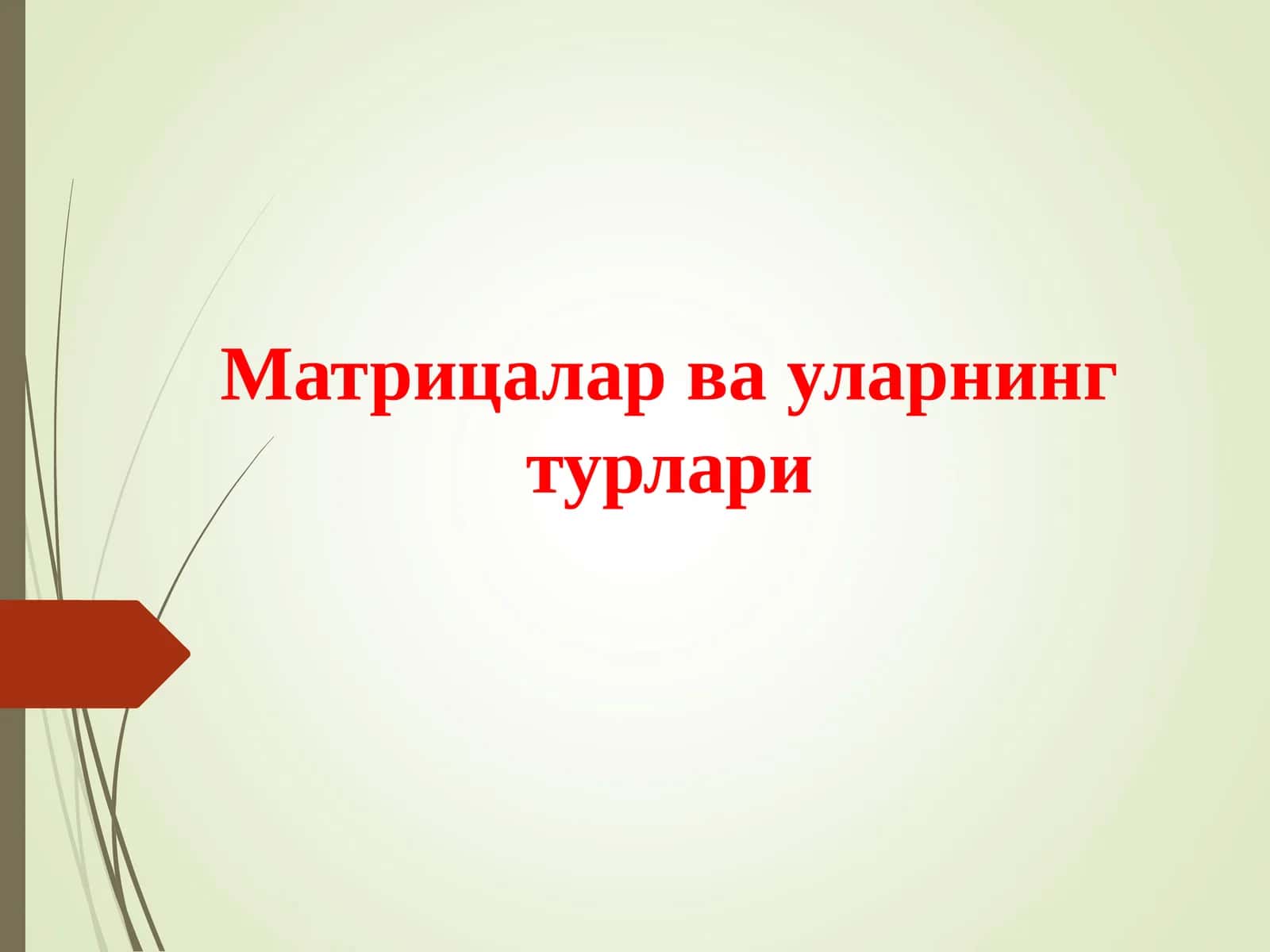 Матрицалар ва уларнинг турлари 1