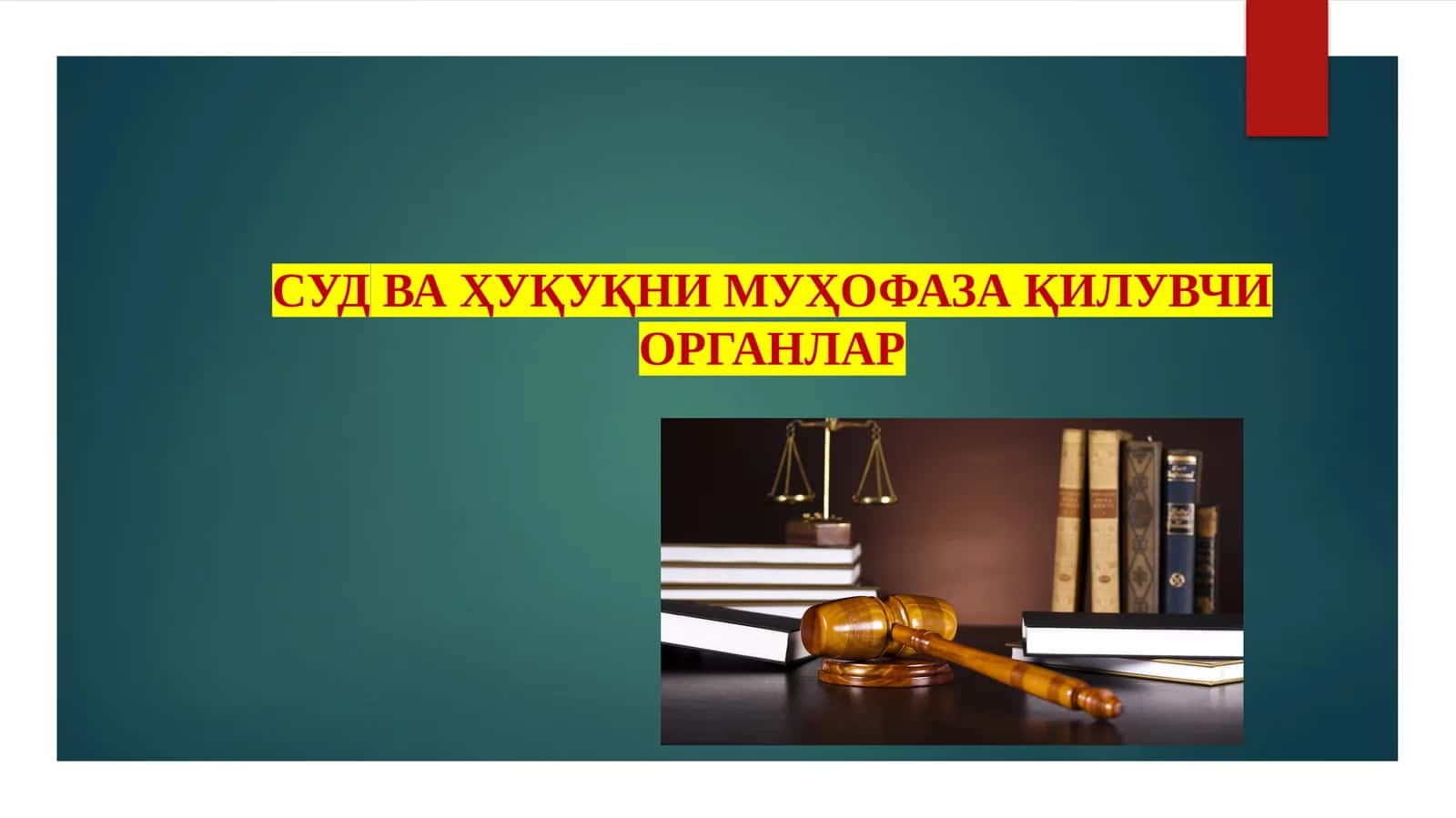 Божхона ва солиқ органлари 1
