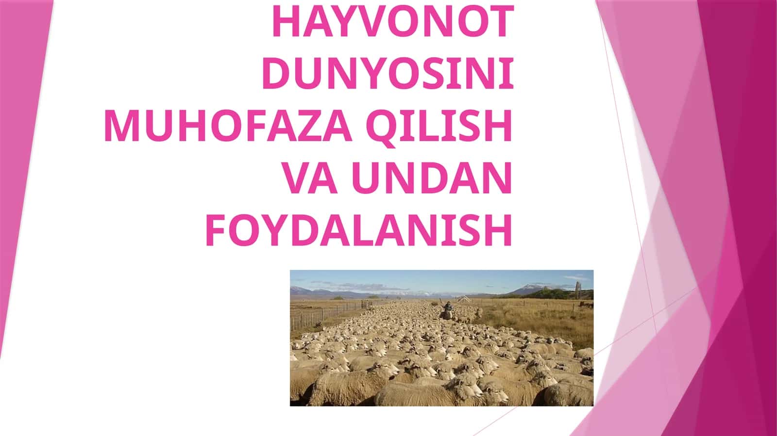 Hayvonot dunyosini muhofaza qilish va undan foydalanish 1