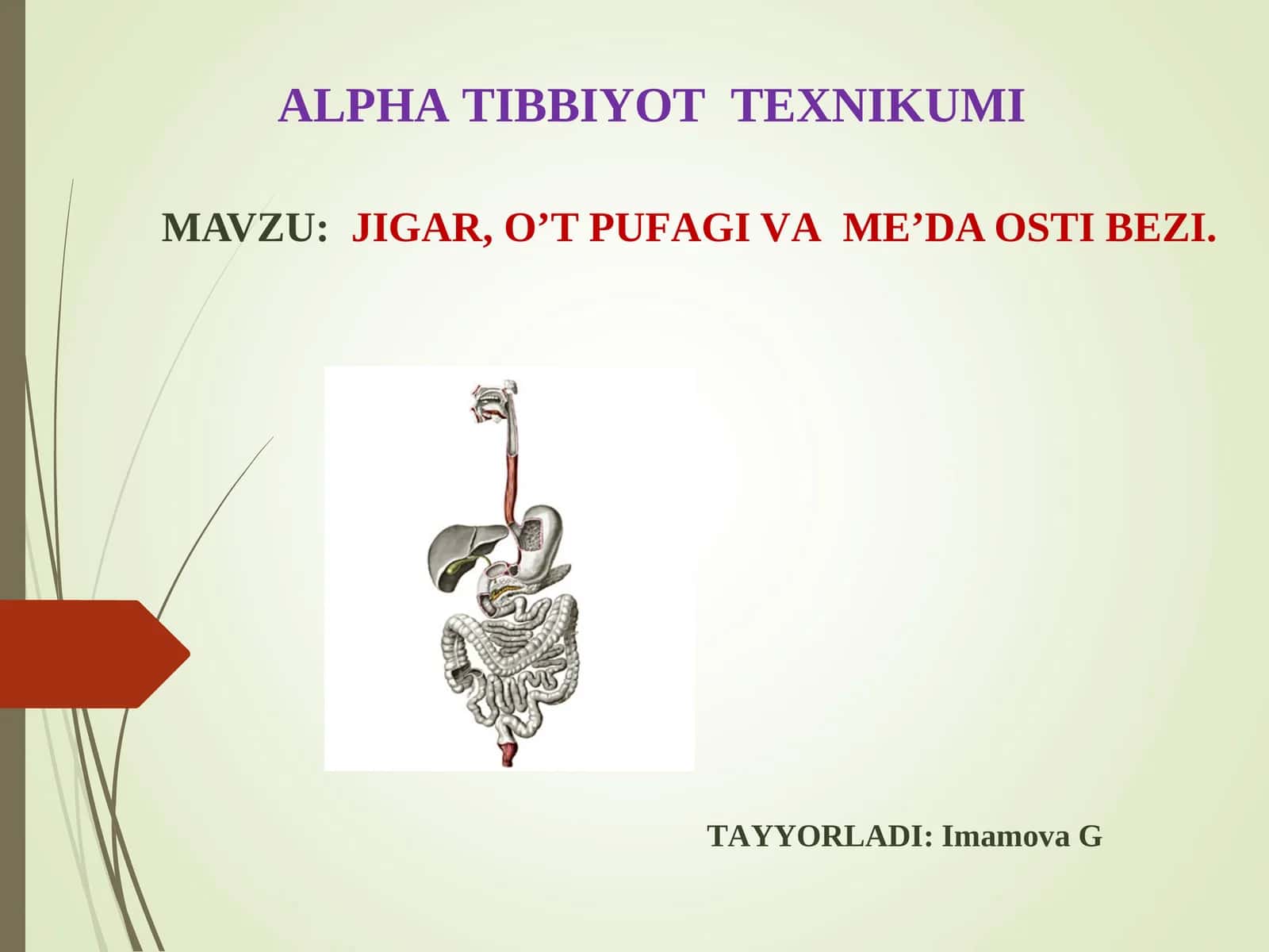 Jigar 1