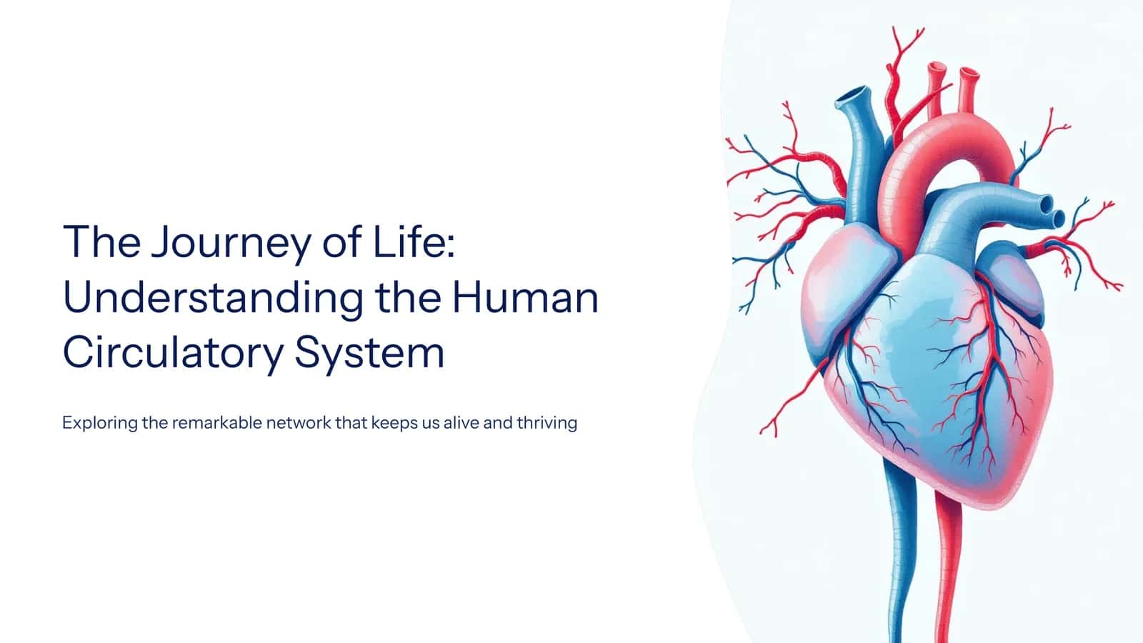 The Journey of Life: Understanding the Human Circulatory System 1