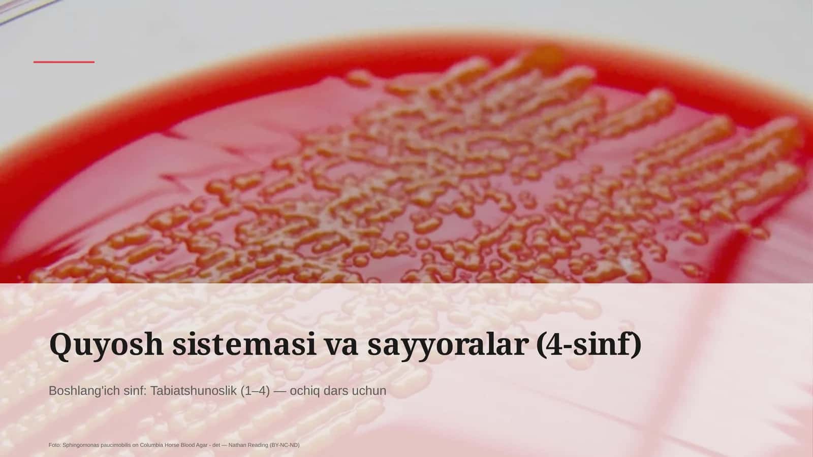 Quyosh sistemasi va sayyoralar (4-sinf) 1