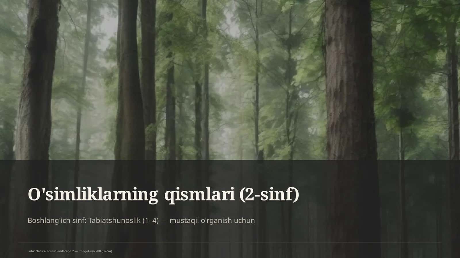 O'simliklarning qismlari (2-sinf) 1