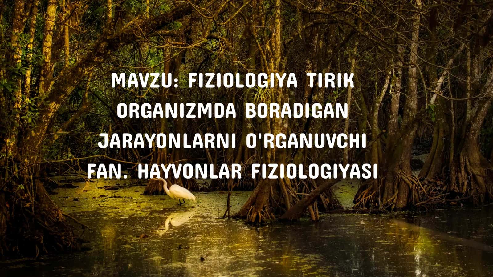 FIZIOLOGIYA TIRIK ORGANIZMDA BORADIGAN JARAYONLARNI O'RGANUVCHI FAN. HAYVONLAR FIZIOLOGIYASI 1