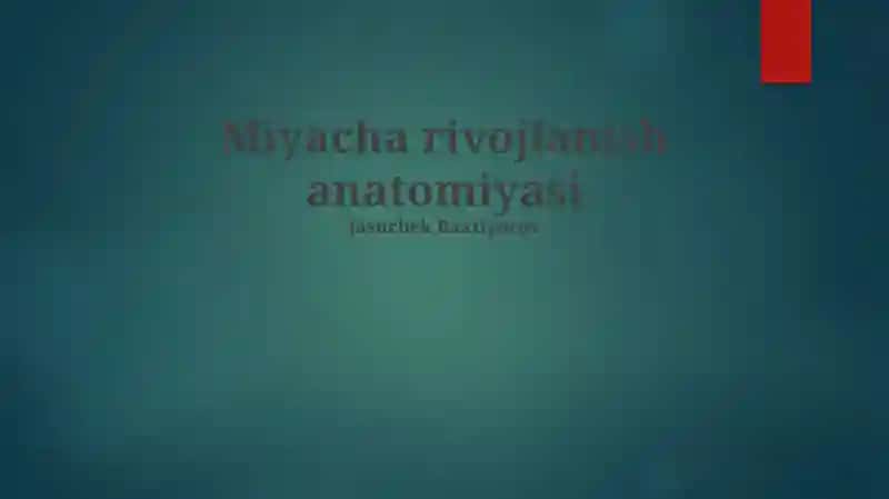 Miyacha rivojlanish anatomiyasi