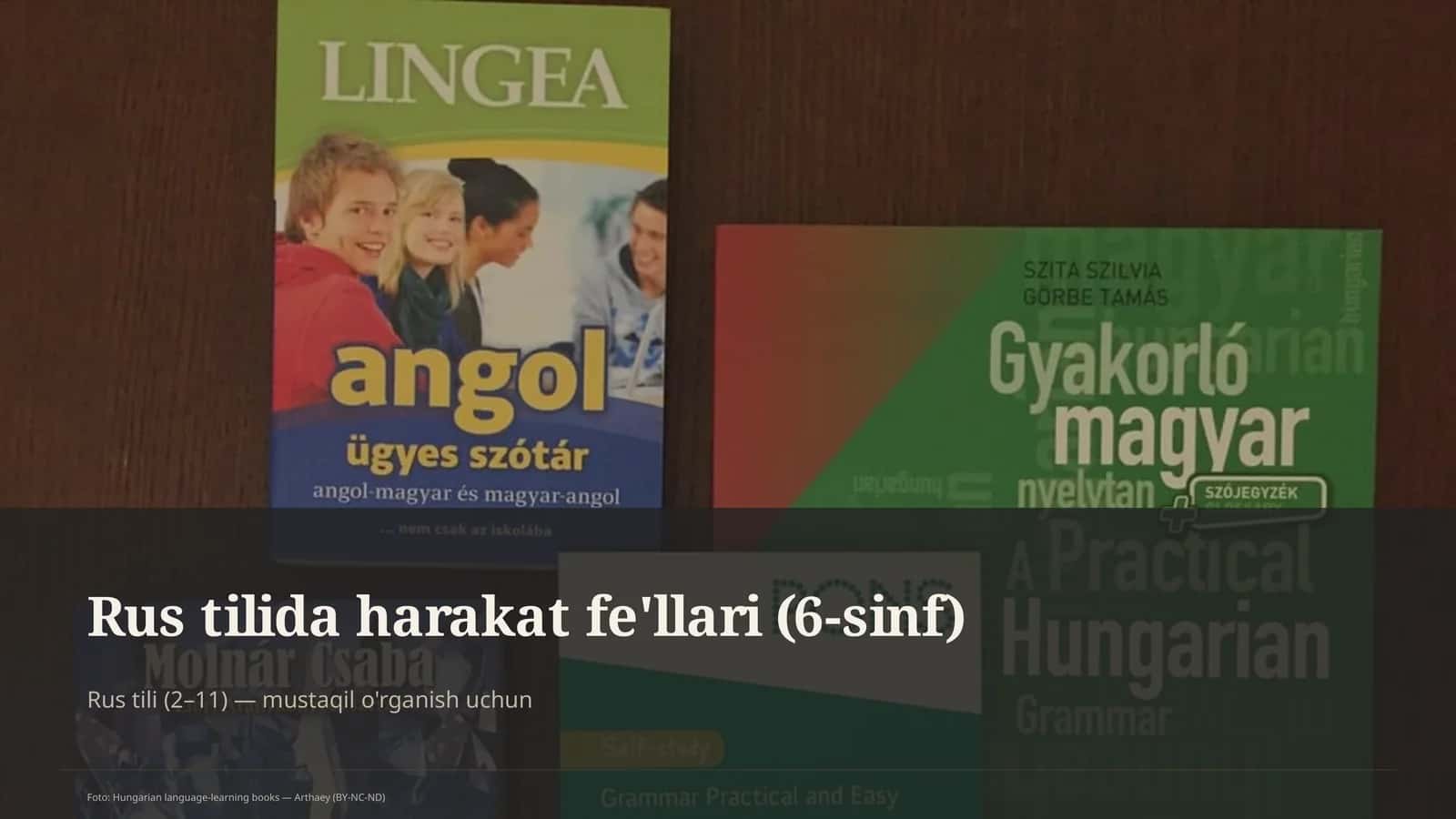 Rus tilida harakat fe'llari (6-sinf) 1