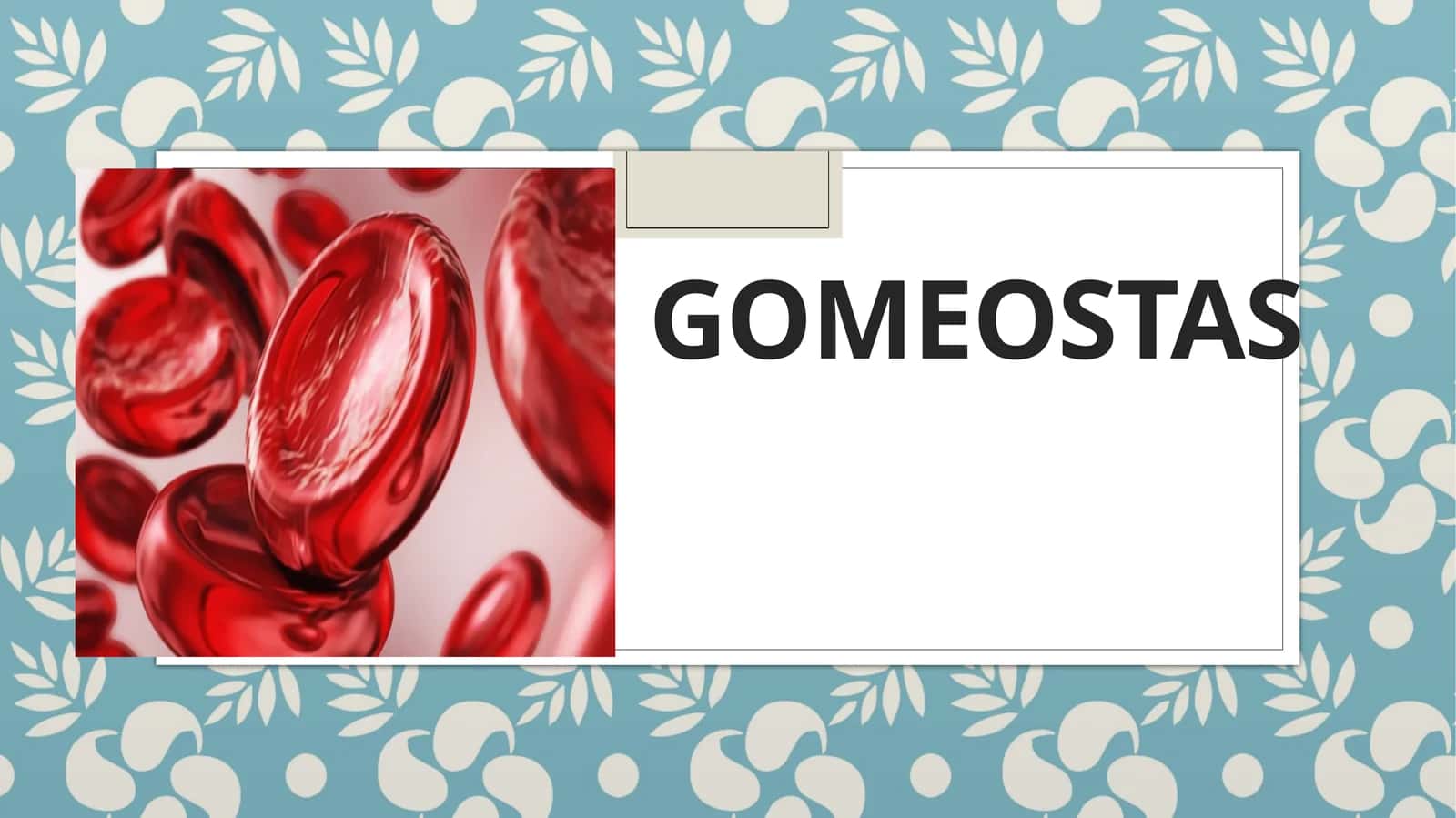 Gomeostaz 1