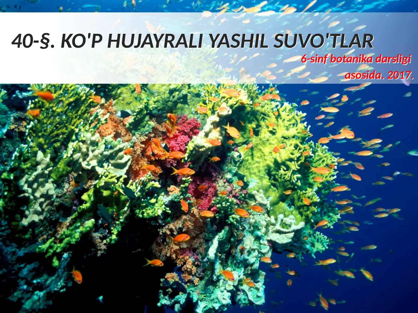 6-sinf Botanika Ko'p hujayrali yashil suvo'tlar 1