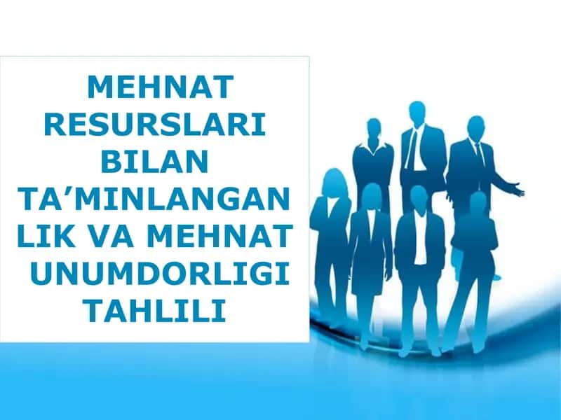 MEHNAT RESURSLARI BILAN TA’MINLANGANLIK VA MEHNAT  UNUMDORLIGI TAHLILI 1