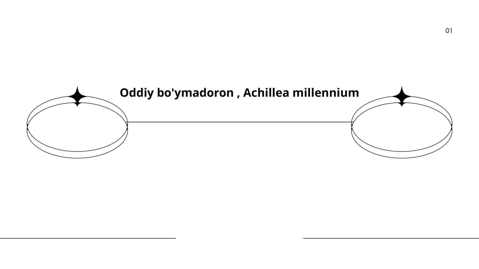 Oddiy bo'ymadoron, Achillea millennium 1