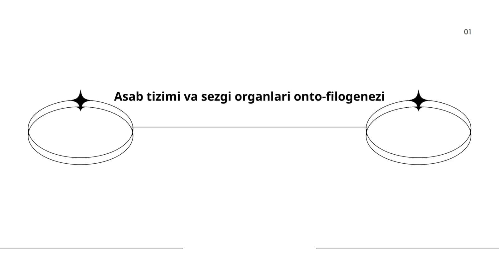 Asab tizimi va sezgi organlari onto-filogenezi 1