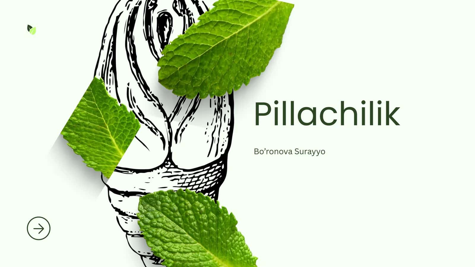 Pillachilik 1