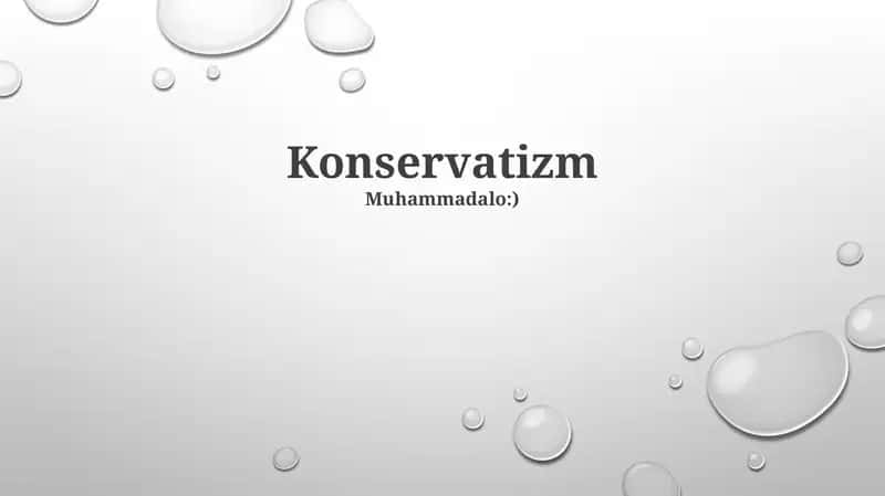 Konservatizm 1