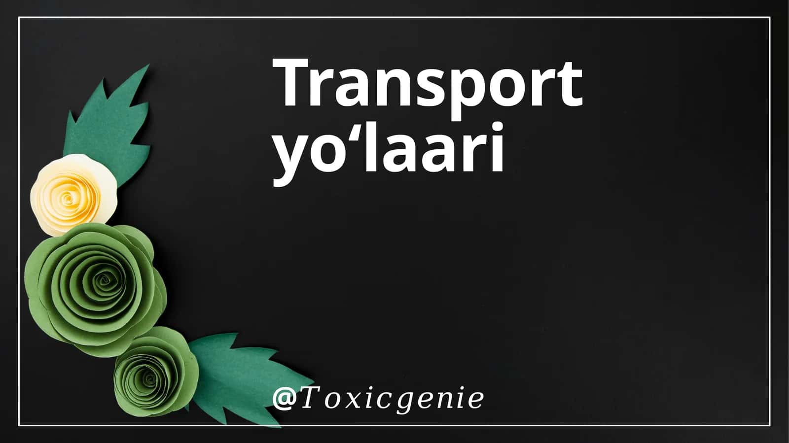 Transport Yo'llari 1