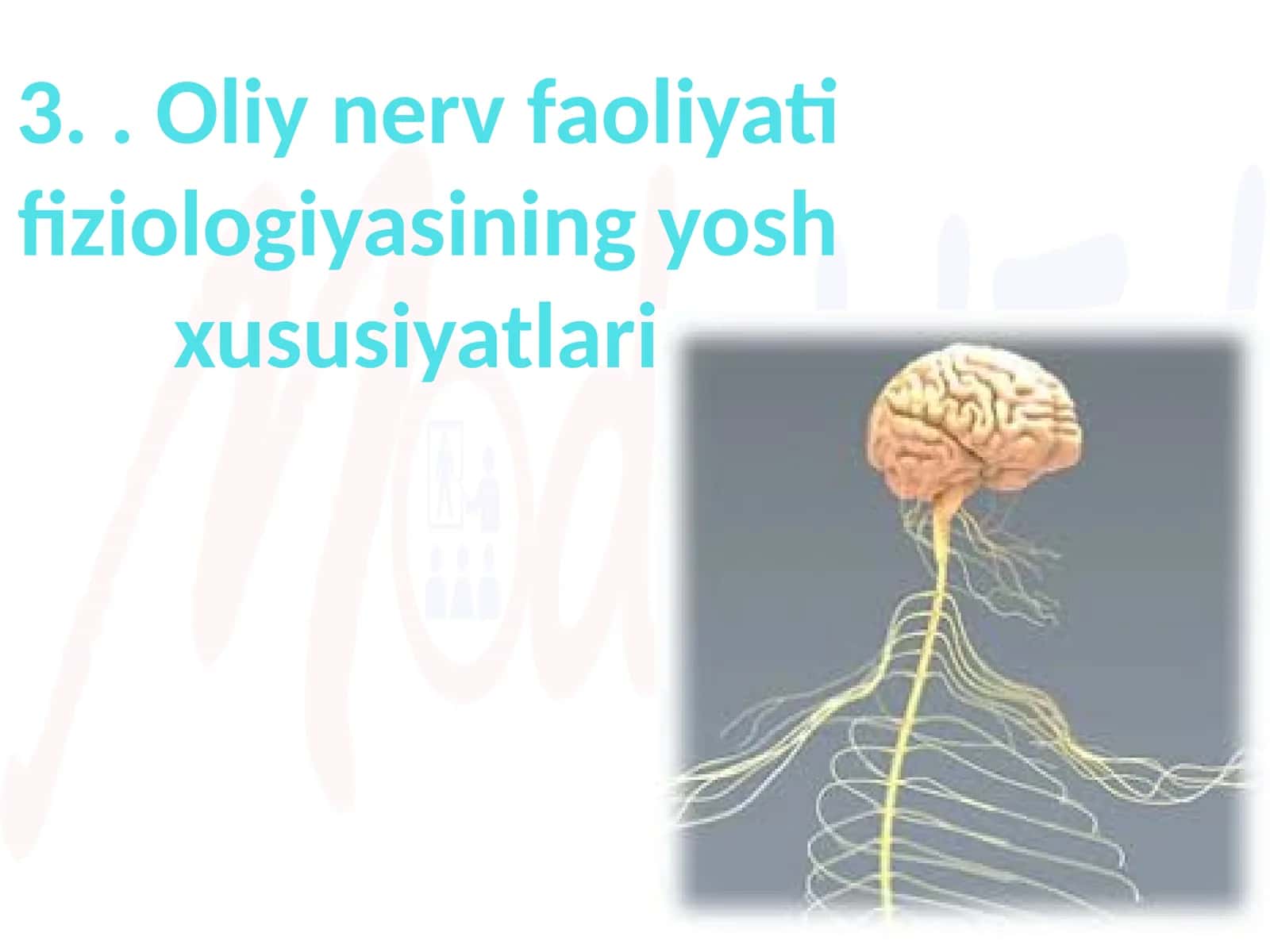 Oliy nerv faoliyati fiziologiyasining yosh xususiyatlari 1
