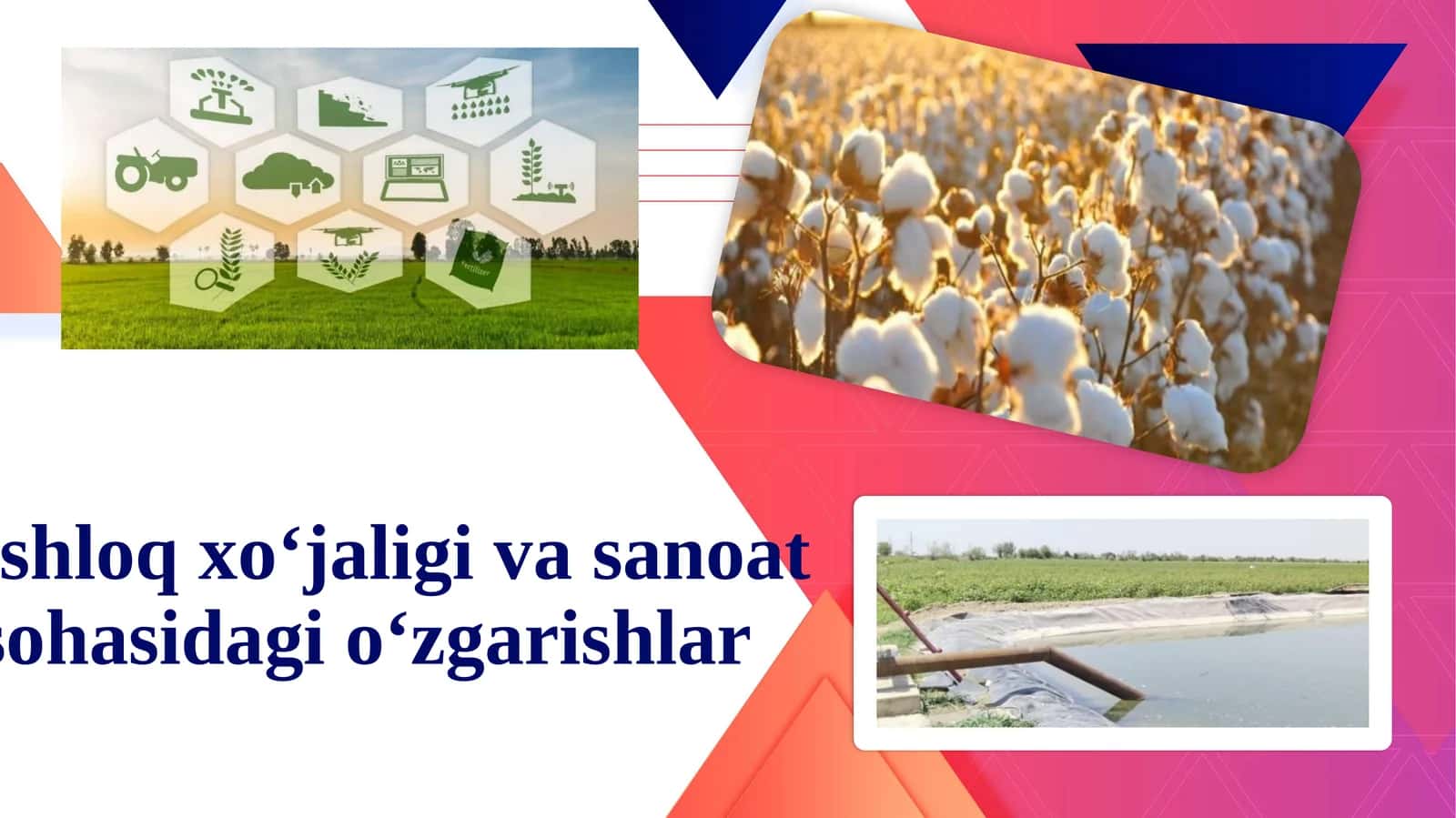 Qishloq xo‘jaligi va sanoat sohasidagi o‘zgarishlar 1