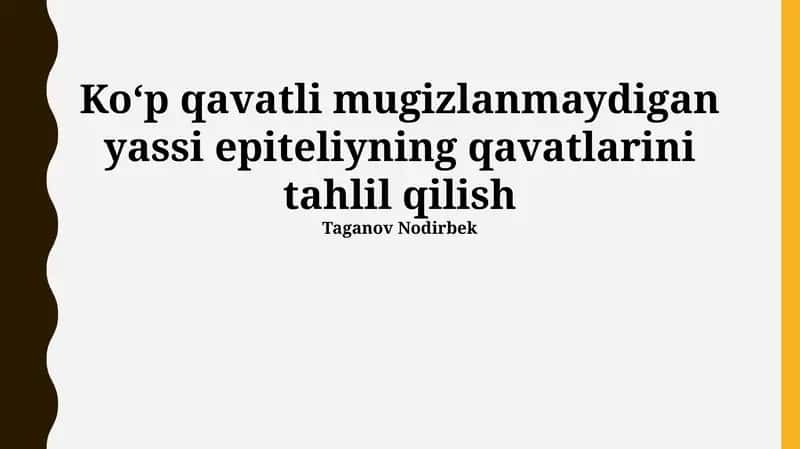 Koʻp qavatli mugizlanmaydigan yassi epiteliyning qavatlarini tahlil qilish 1