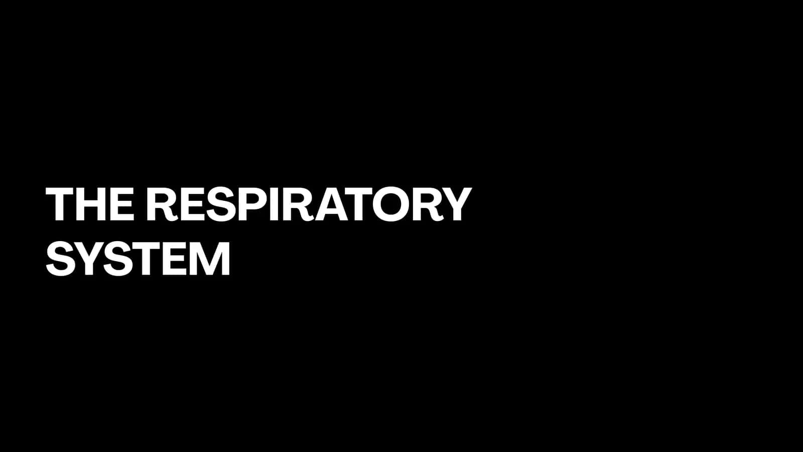 THE RESPIRATORY SYSTEM 1