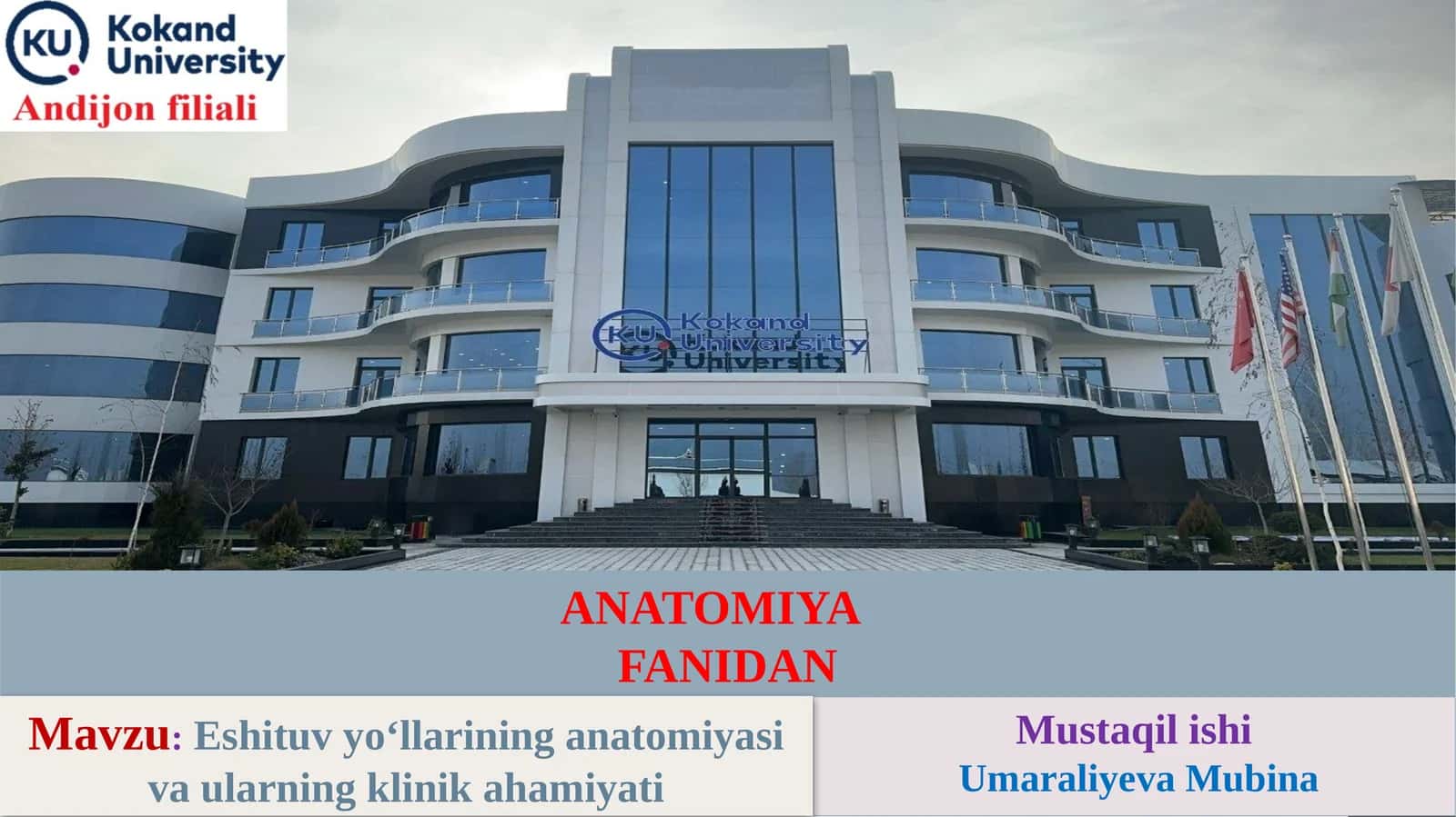Eshituv yo‘llarining anatomiyasi va ularning klinik ahamiyati 1