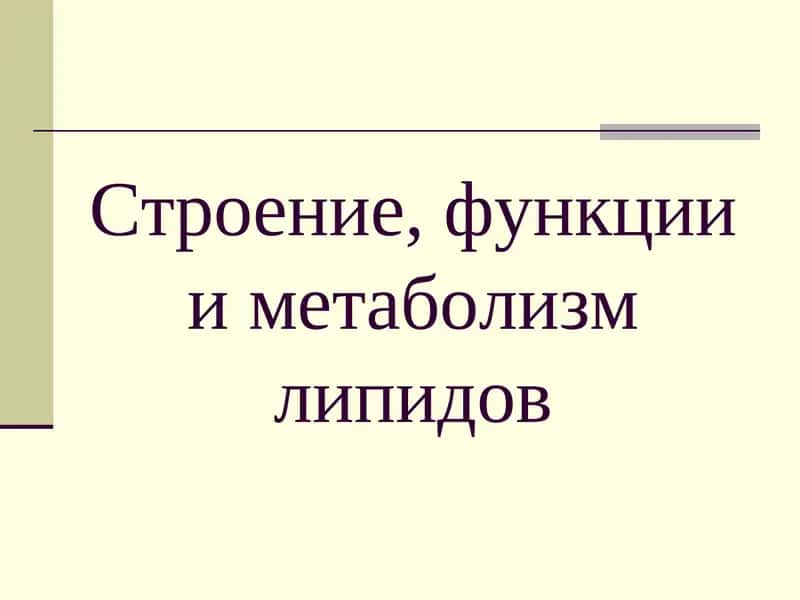 Строение, функции и метаболизм липидов 1