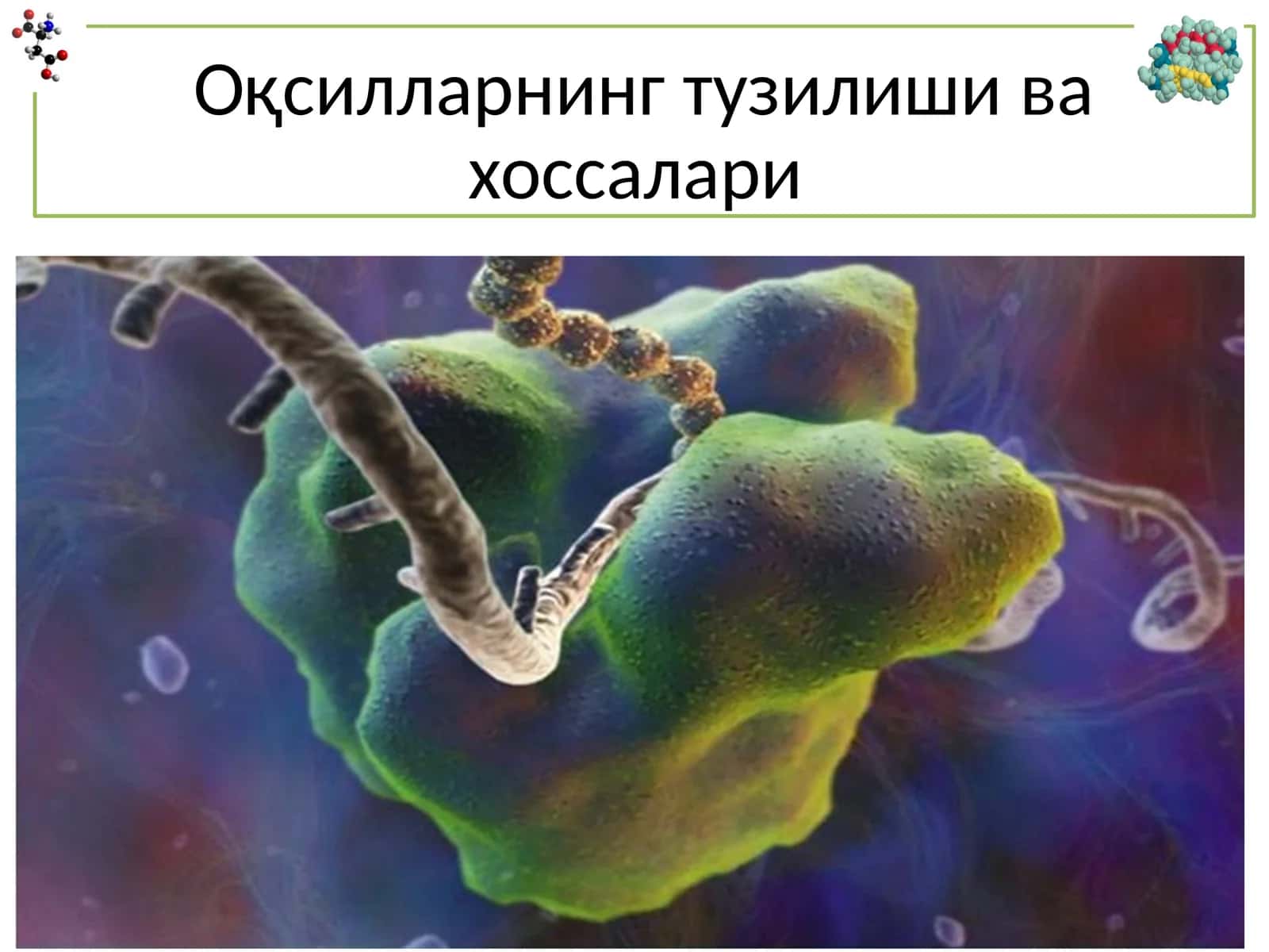 Oqsillarni umumiy xaraktеristikasi 1