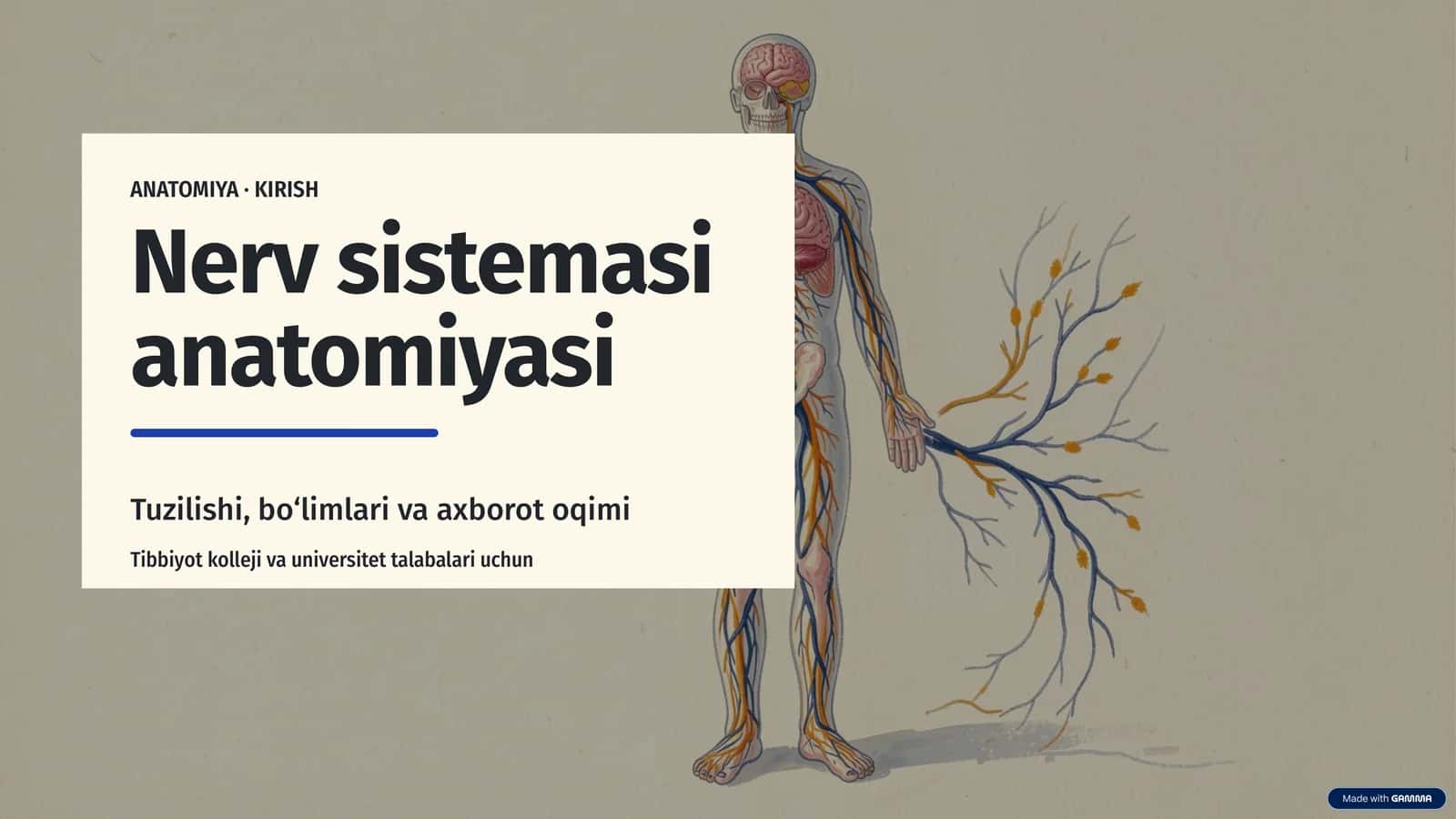 ANATOMIYA · 1