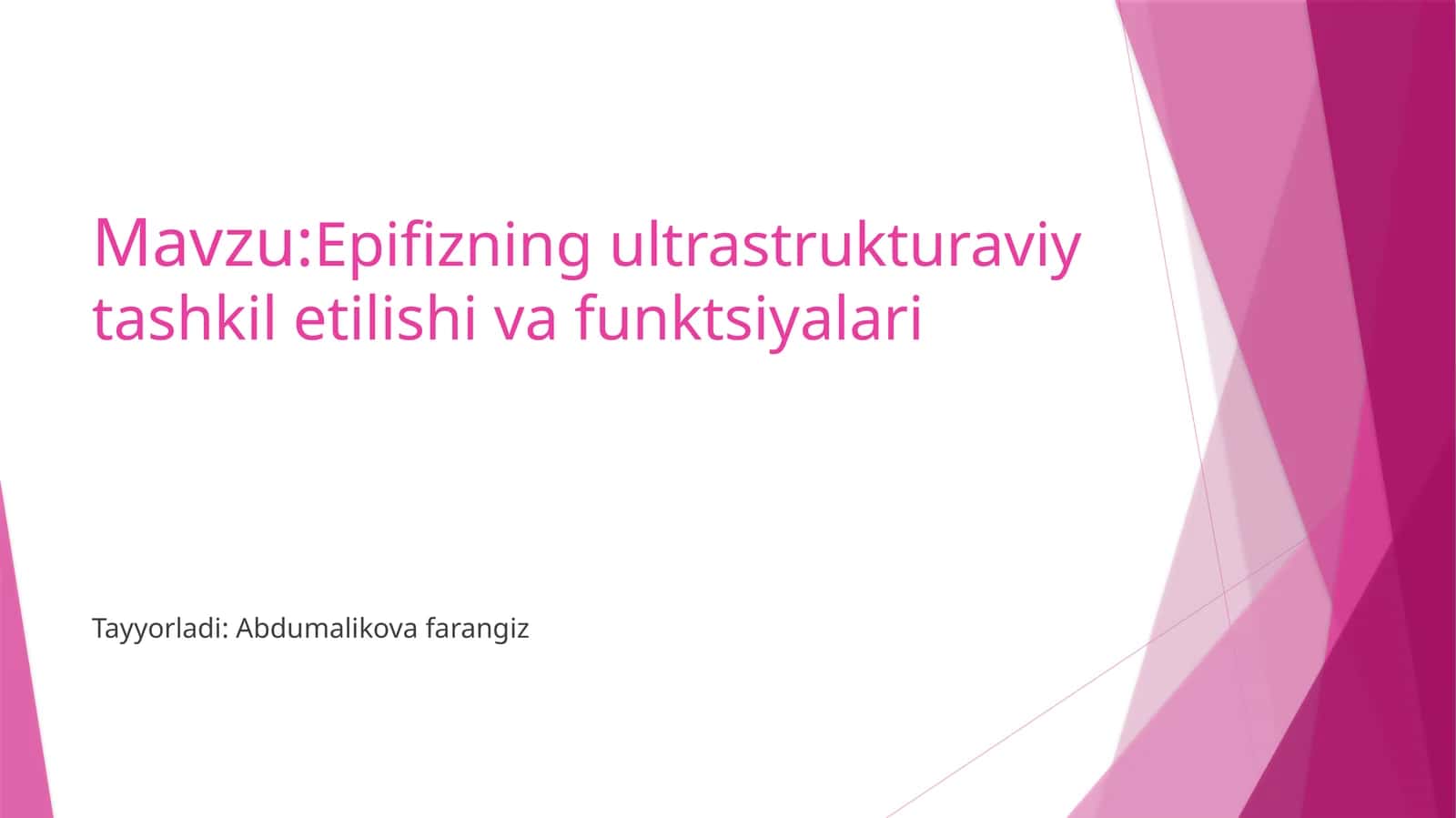 Epifizning ultrastruktura viy tashkil etilishi va funktsiyalari 1
