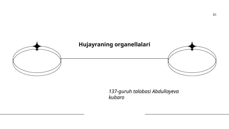 Hujayraning organellalari 1