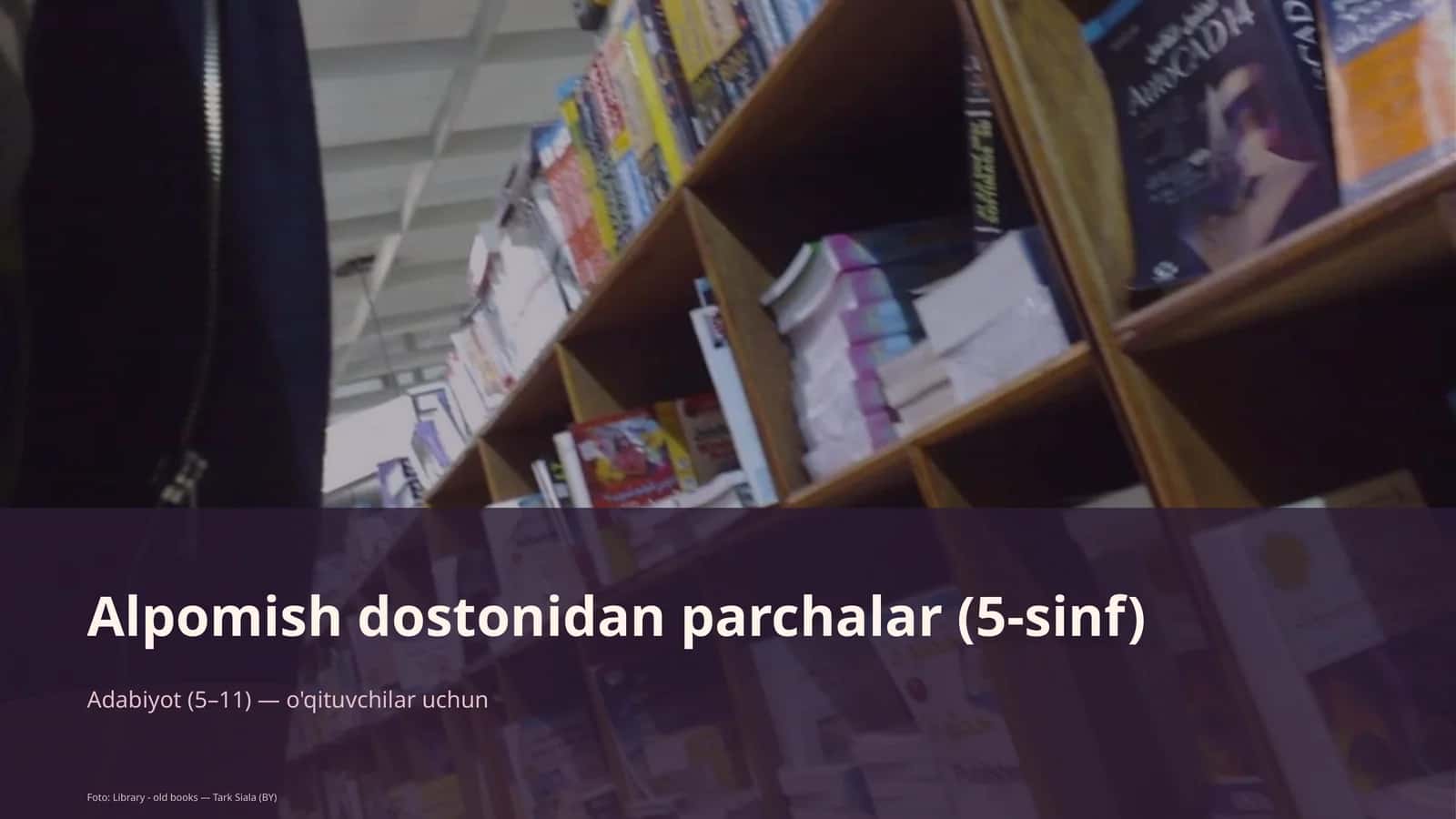 Alpomish dostonidan parchalar (5-sinf) 1
