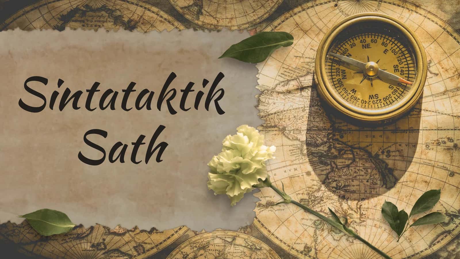 Sintataktik Sath 1