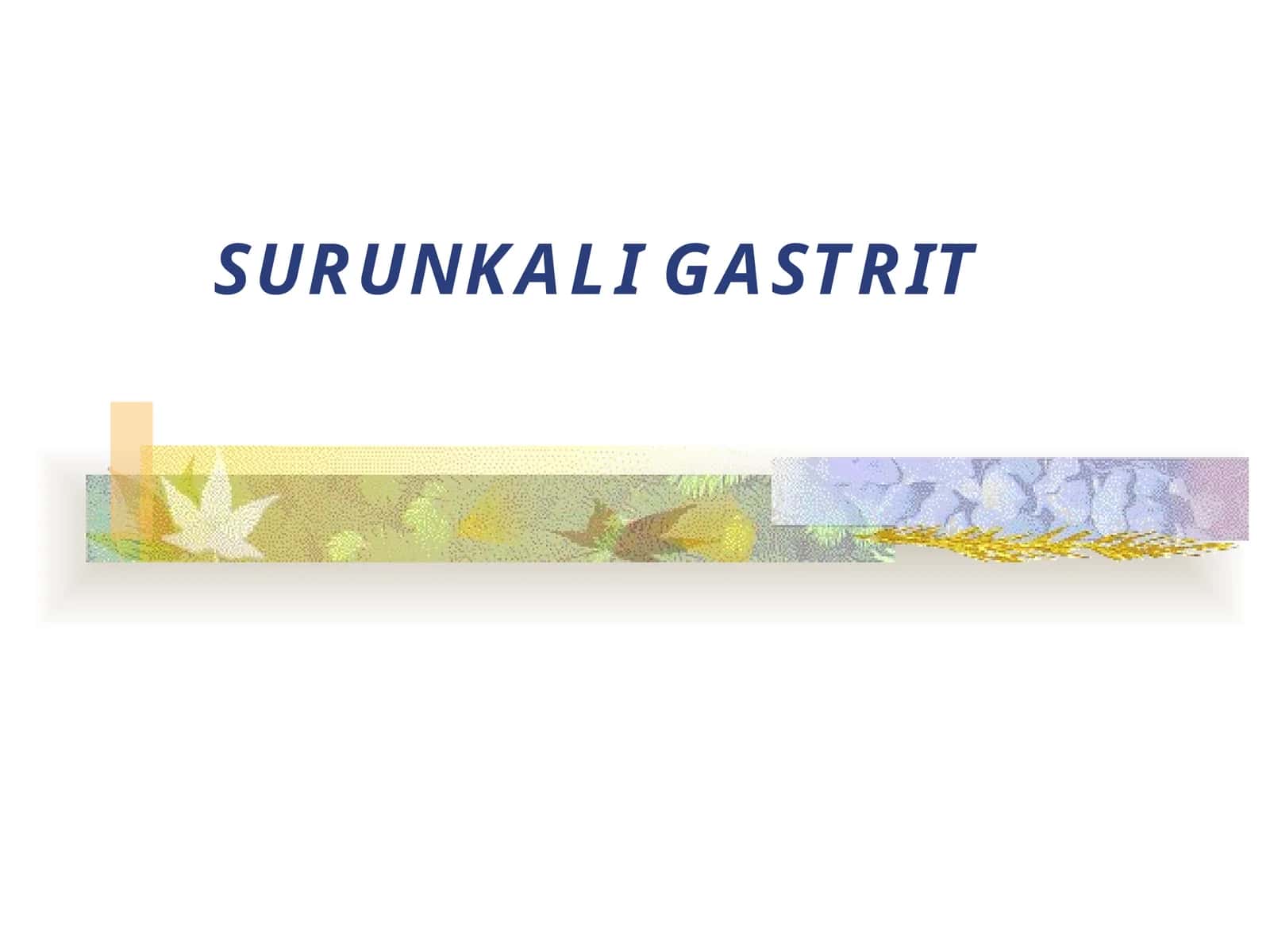 SURUNKALI GASTRIT 1