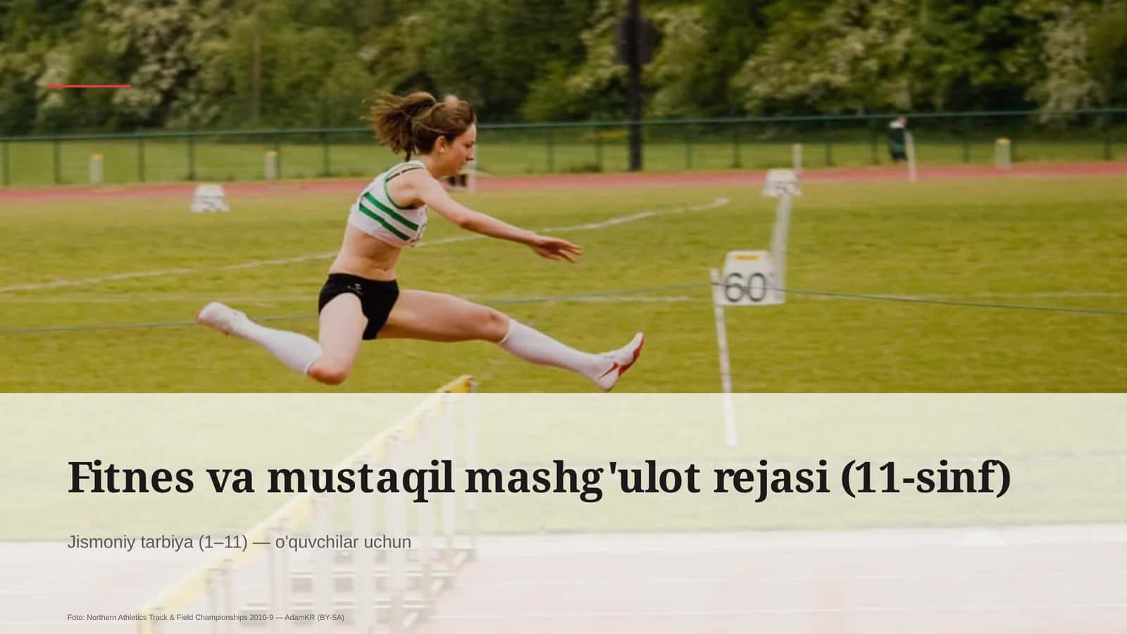 Fitnes va mustaqil mashg'ulot rejasi (11-sinf) 1