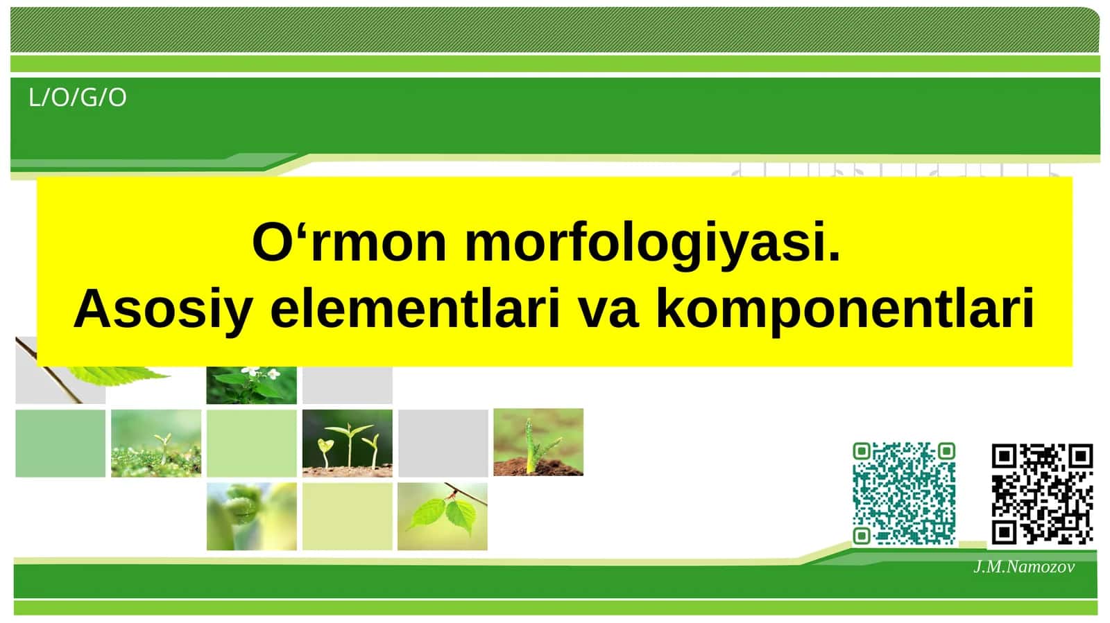 O‘rmon morfologiyasi.Asosiy elementlari va komponentlari 1