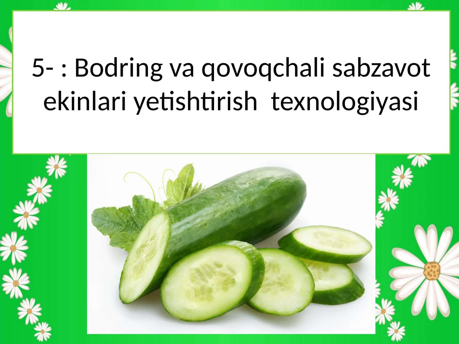 Bodring va qovoqchali sabzavot ekinlari yetishtirish texnologiyasi 1