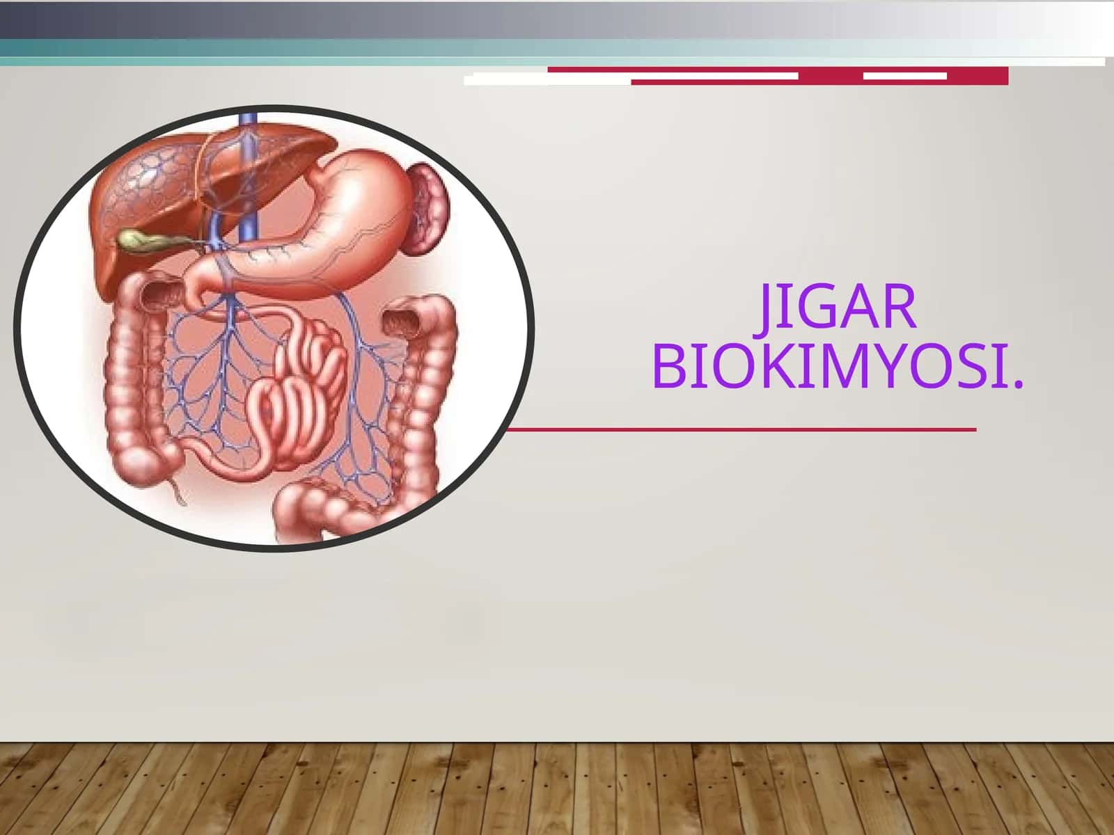 JIGAR biokimyosi 1