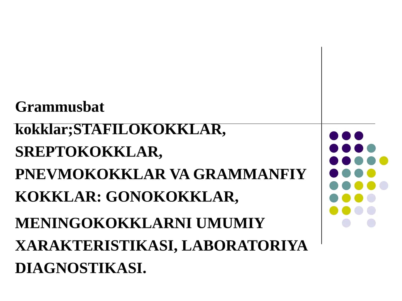 Grammusbat kokklar 1