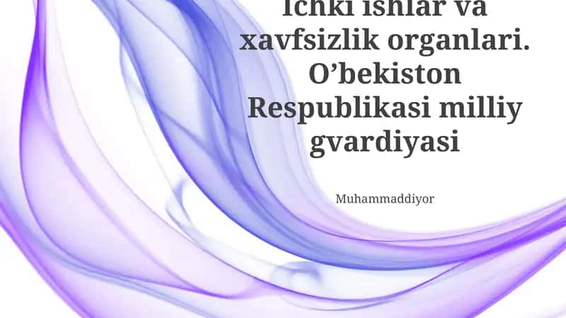 Ichki ishlar va xavfsizlik organlari 1