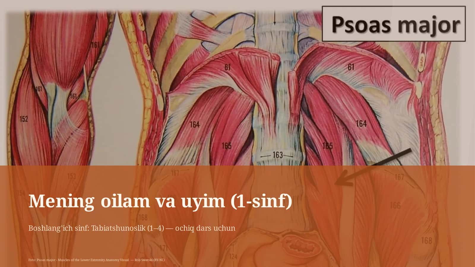 Mening oilam va uyim (1-sinf) 1