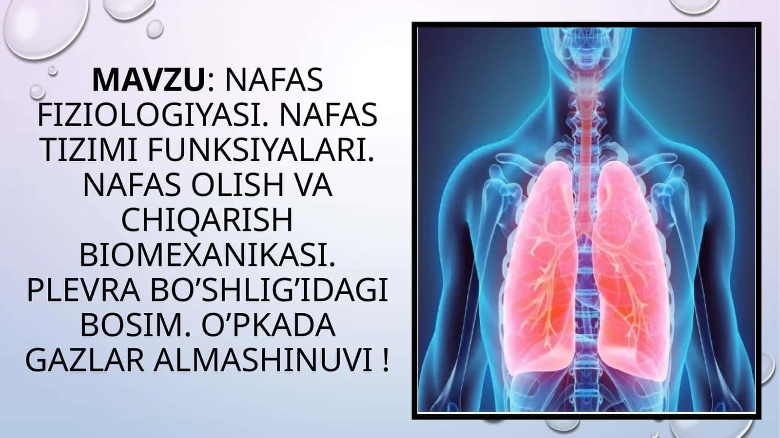 NAFASFIZIOLOGIYASI. NAFAS TIZIMI FUNKSIYALARI. NAFAS OLISH VA CHIQARISH BIOMEXANIKASI. PLEVRA BO’SHLIG’IDAGI BOSIM. O’PKADA GAZLAR ALMASHINUVI! 1