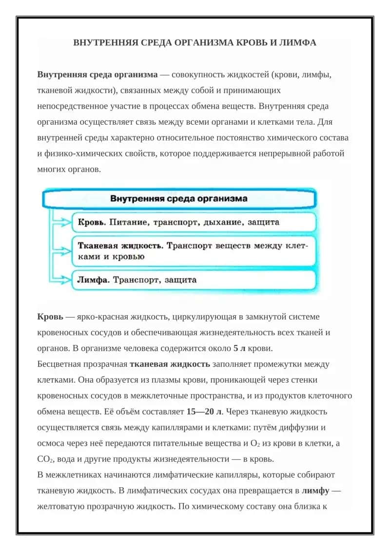 Внутренняя среда организма 1