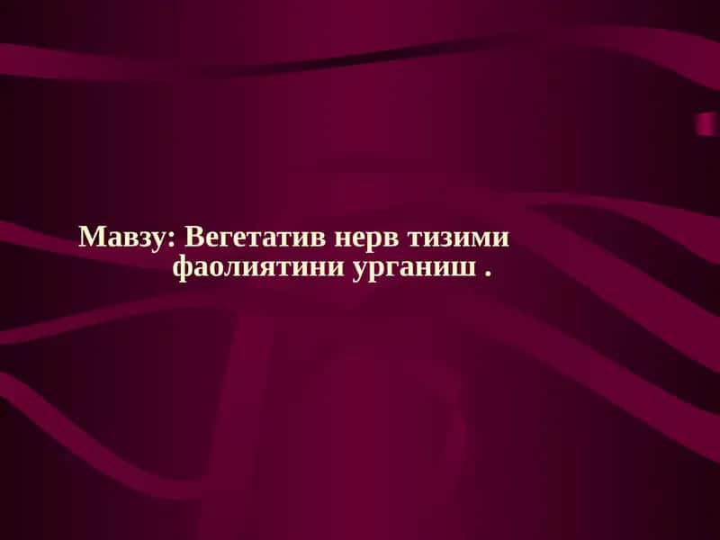 Вегетатив невртизм фаолияти 1