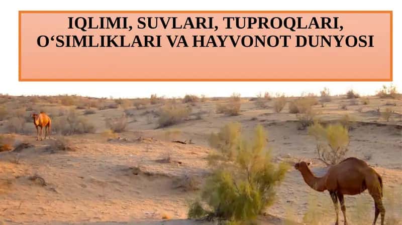 O‘simliklari va hayvonot dunyosi 1