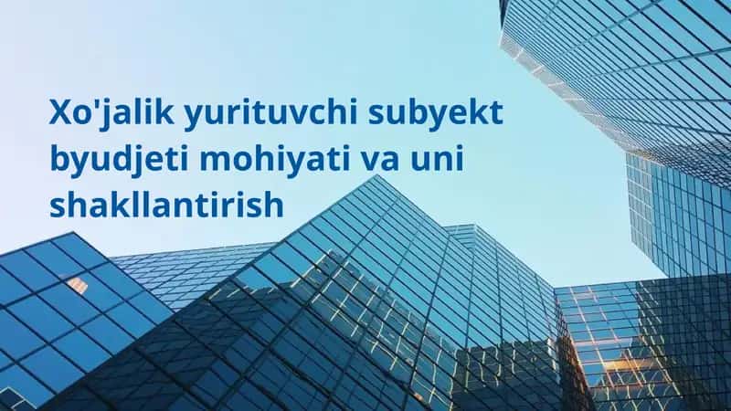Xo'jalik yurituvchi subyekt byudjeti mohiyati va uni shakllantirish 1