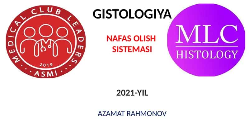 GISTOLOGIYA 1