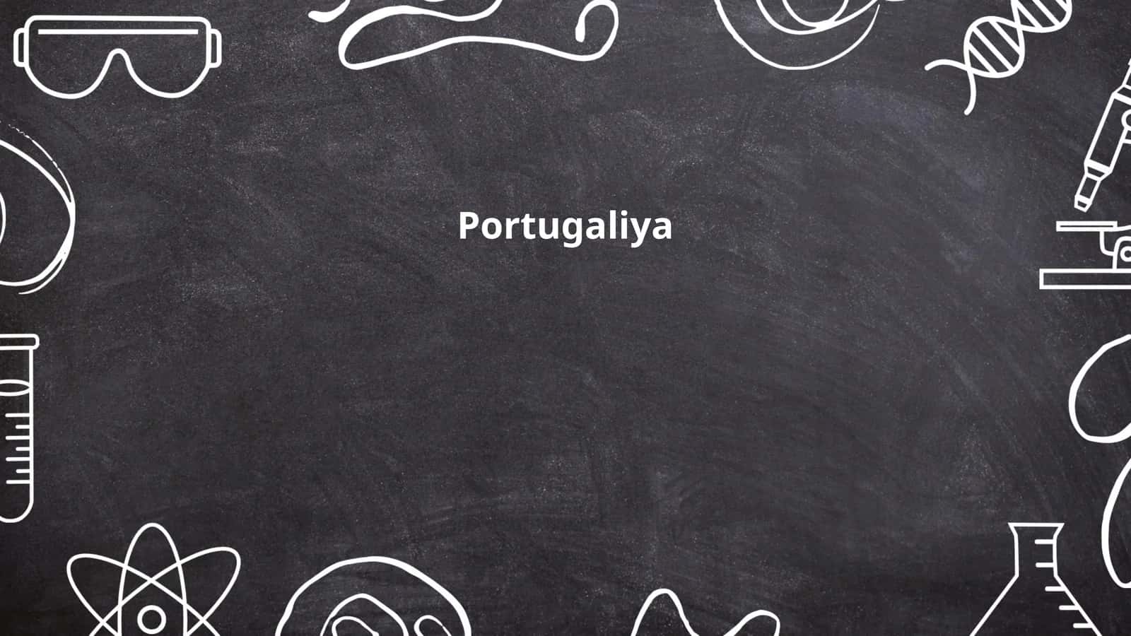 Portugaliya tarixi 1
