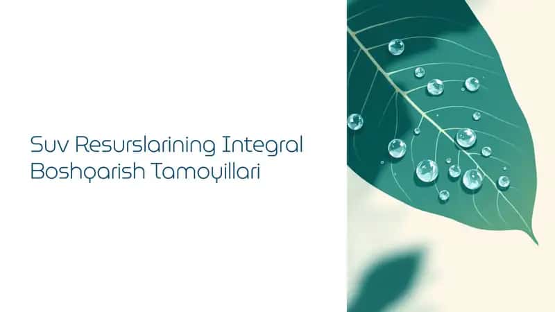 Suv resurslarining integral boshqarishning tamoyillari 1