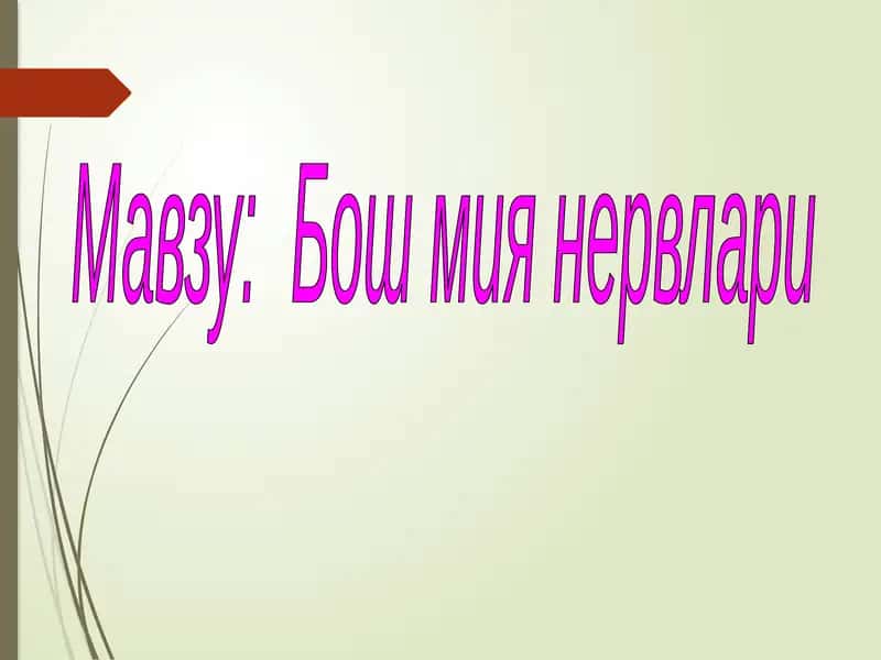 Бош мия нервлари 1