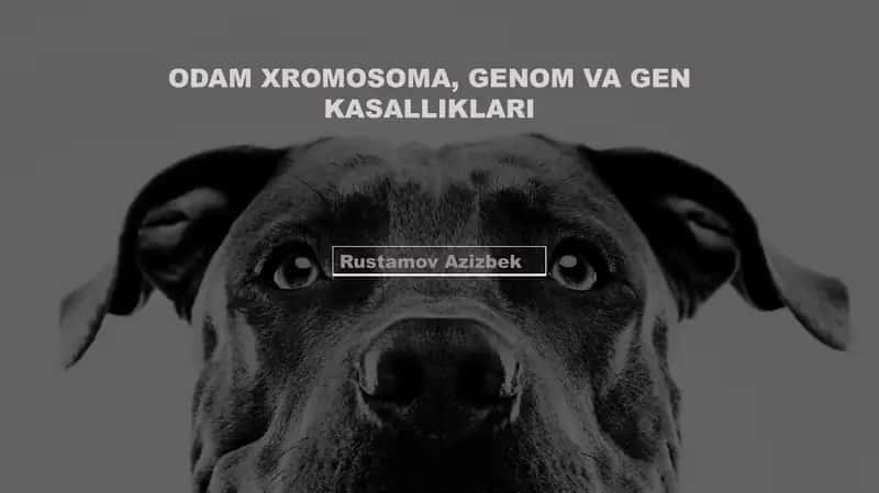 Odam xromosoma, genom va gen kasalliklari 1